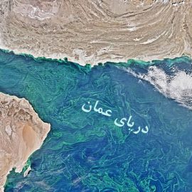 کشف یک منطقه مرده در دریای عمان