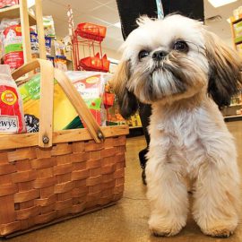 خرید لوازم حیوانات خانگی از پت شاپ آنلاین جی جی لوپ
