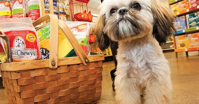 خرید لوازم حیوانات خانگی از پت شاپ آنلاین جی جی لوپ