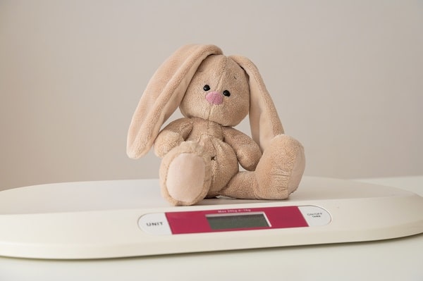 6 نکته درباره‌ی راهنمای خرید عروسک خرگوش گوش دراز